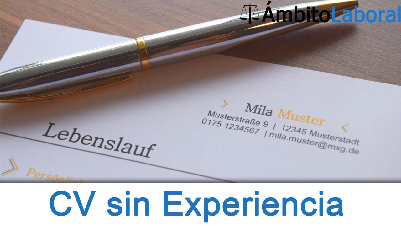Curriculum sin Experiencia Ejemplos mas Guia