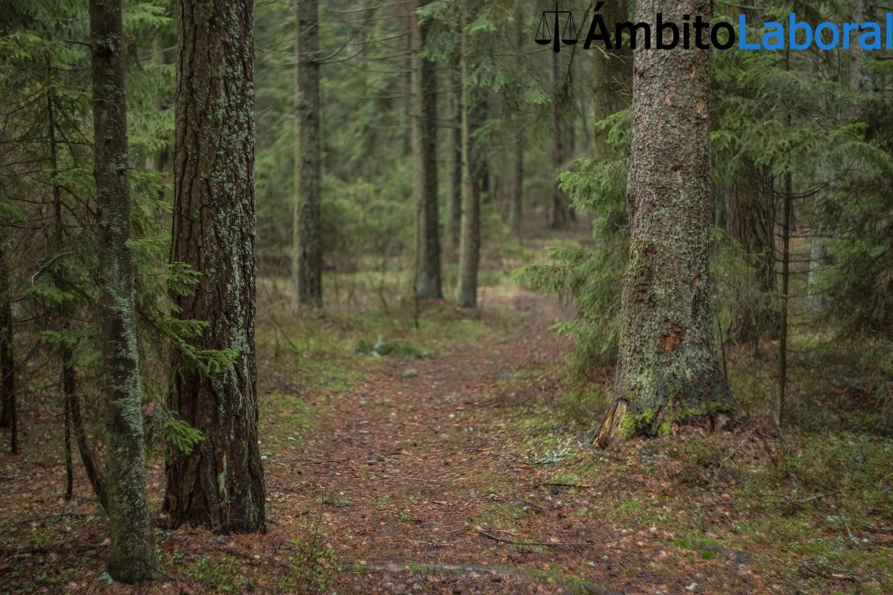 Trabajos más demandados en Finlandia - Empleos con mas demanda Trabajos mas demandados en Finlandia