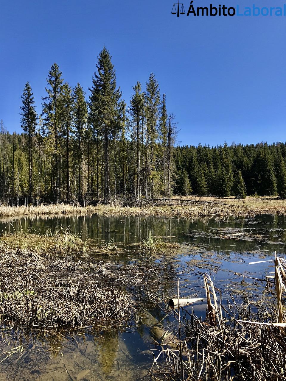 Trabajos mejor pagados en Eslovaquia - Empleos con mejores salarios trabajos mejor pagados en Eslovaquia