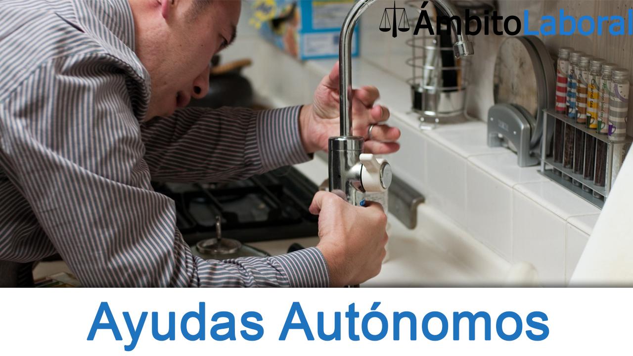 Ayudas para Autónomos y el Autoempleo en España Ayudas y Subvenciones para autónomos y el autoempleo