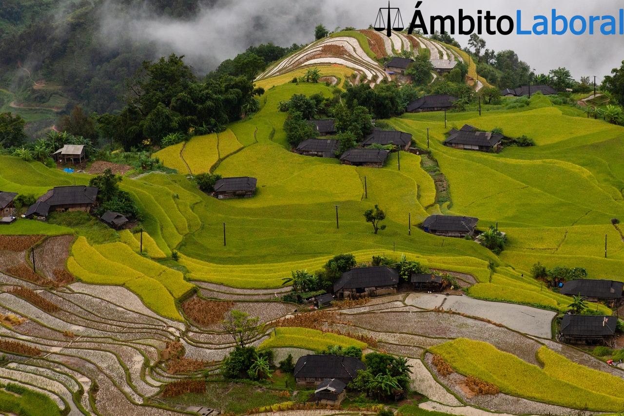 Trabajos más demandados en Vietnam - Empleos con mas demanda Trabajos mas demandados en Vietnam