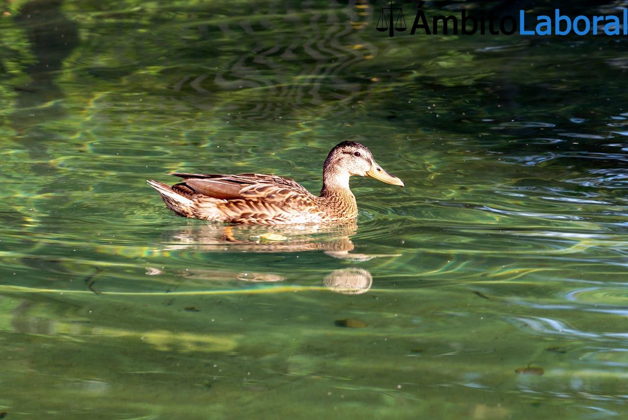 Ayudas para Autónomos y Emprendedores en Castilla y León Ayudas para Autónomos y Emprendedores en Castilla y León